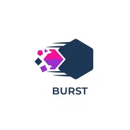 Burst Logo